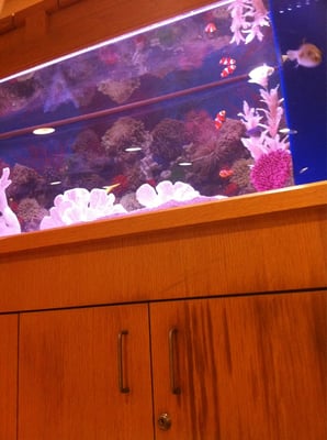 CAPE COD HEALTHCARE FALMOUTH visual data 2