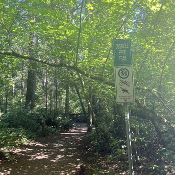 Sunnyside Acres Urban Forest - Obstacle free trail - accessible - Parks Near Me - Surrey, British Columbia Sunnyside Acres Urban Forest - Obstacle free trail - accessible - Parks Near Me - Surrey, British Columbia