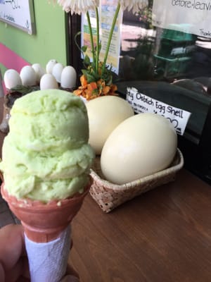 Davao Riverfront Crocodile Park & Zoo by null