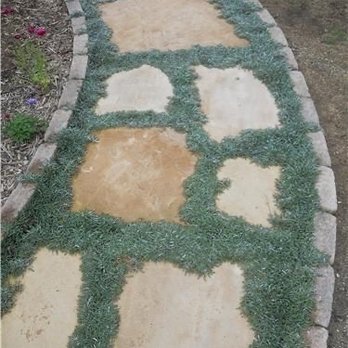 BNH Construction - Flagstone path - General Contractors Near Me - Woodland Hills, California BNH Construction - Flagstone path - General Contractors Near Me - Woodland Hills, California
