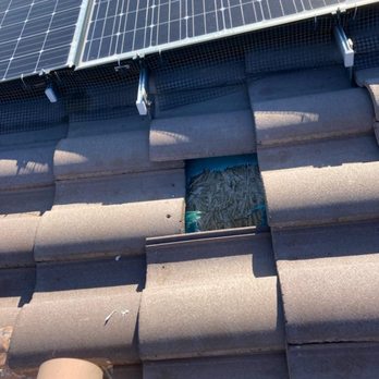 All Pro Maintenance Services - Before - Roofing Near Me - Las Vegas, Nevada