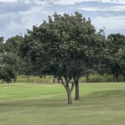 Tinker Golf Course - Rolling hills