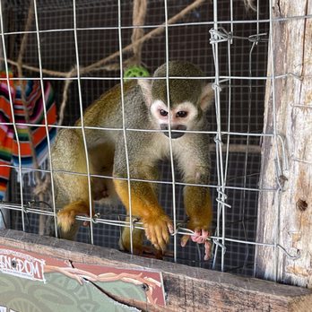Wild Canyon - Cutie! - Tours Near Me - Cabo San Lucas, BCS