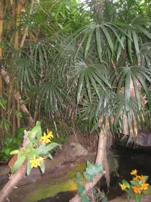 Copenhagen Zoo by null