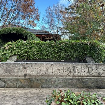 Caymus Vineyards - Exterior - Wineries Near Me - Rutherford, California