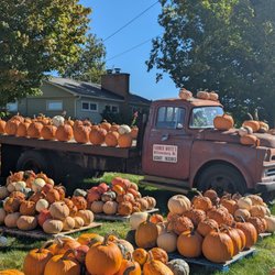 Farmer White's - Pumpkins!