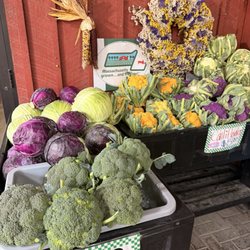 Taft Farms
