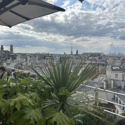 Le 43 Up On The Roof