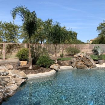 Moon Valley Nurseries - Queen Palms l, pigmy palms & Bismark palm. - Nurseries & Gardening Near Me - Avondale, Arizona