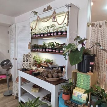 Salt Your Soul Gift - Gift Shops Near Me - Sarasota, Florida Salt Your Soul Gift - Gift Shops Near Me - Sarasota, Florida