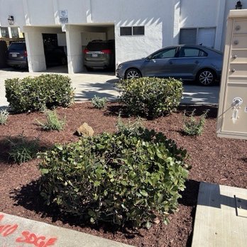 Mr Scape - Beautiful after - Landscaping Near Me - La Mesa, California Mr Scape - Beautiful after - Landscaping Near Me - La Mesa, California
