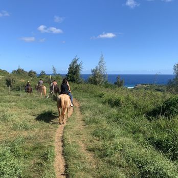 CJM Stables - Horseback Riding Near Me