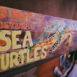 Do not Disturb the Sea Turtles