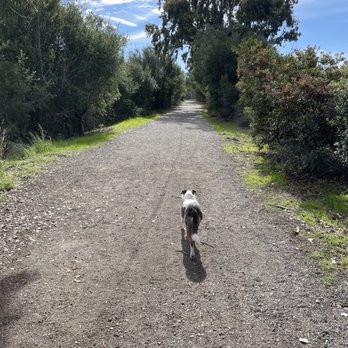 Quarry Lakes - Parks Near Me - Fremont, California Quarry Lakes - Parks Near Me - Fremont, California