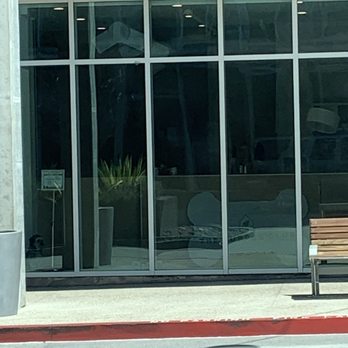 Pupper Club - Prime's drama queen picture as I left. (He's in there somewhere!) - Pet Groomers Near Me - San Diego, California