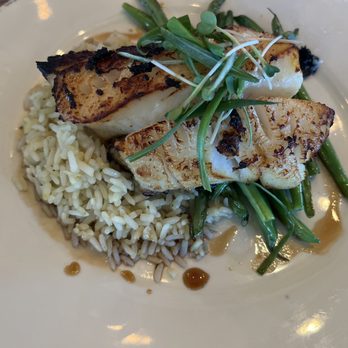 Bluewater Grill - Miso cod - Seafood Near Me - Coronado, California Bluewater Grill - Miso cod - Seafood Near Me - Coronado, California