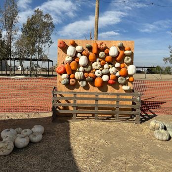 Cherry Acres - Pumpkin wall - Pumpkin Patches Near Me - Bakersfield, California