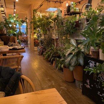 Coco Thai Bistro - the inside of a restaurant - Thai Near Me - Narberth, Pennsylvania