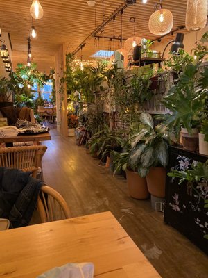 Coco Thai Bistro by null