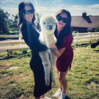 Canzelle Alpacas - Baby alpaca :) - Farms Near Me - Carpinteria, California