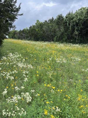 Thicket Food Park by null Thicket Food Park by null