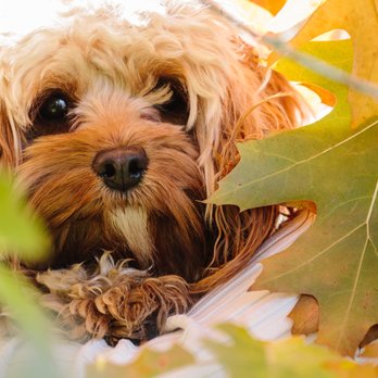 Michelle Bauer Photography - Session Photography Near Me