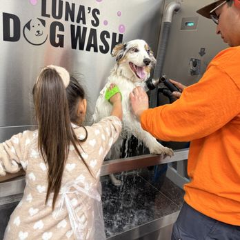 Luna's Dog Wash - Pet Groomers Near Me - Glendora, California Luna's Dog Wash - Pet Groomers Near Me - Glendora, California
