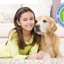 Fraservalley Chem-Dry - Drier. Cleaner. Healthier.    With only    Fraser Valley Chem-Dry