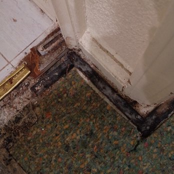 Jazz - Plumbing Near Me - Pleasanton, California Jazz - Plumbing Near Me - Pleasanton, California
