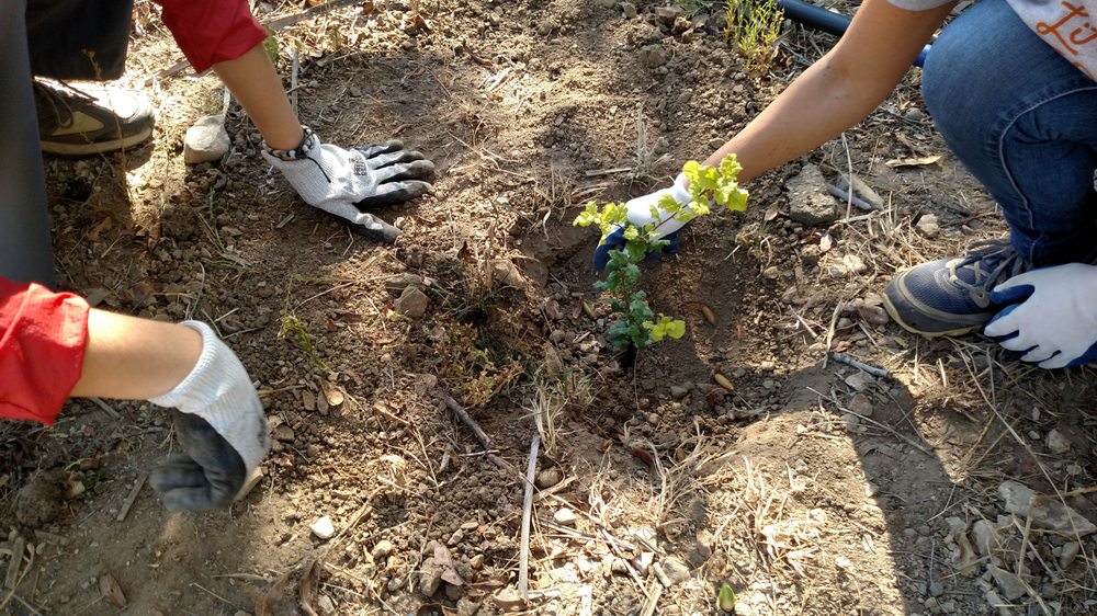 Ventura Land Trust - social services organization in Ventura, CA
