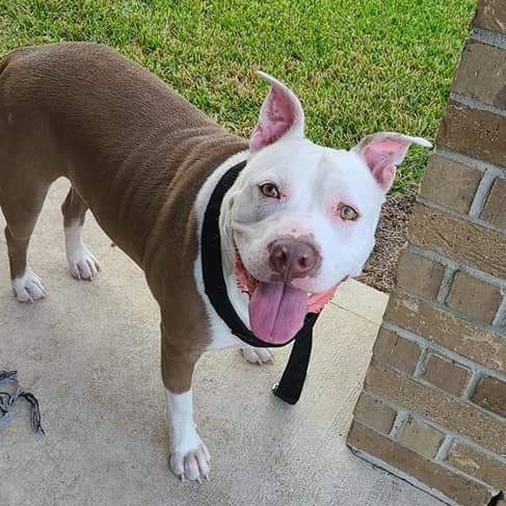 Prince! My little handsome guy. Prince! My little handsome guy.
