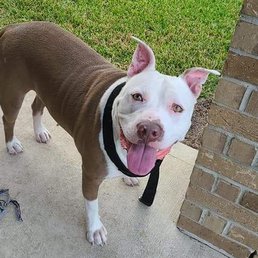 Prince!  My little handsome guy.