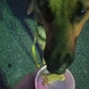 Bruster's Real Ice Cream - Puppy sundae - Ice Cream & Frozen Yogurt Near Me - Severna Park, Maryland