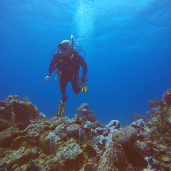 A' HA' Scuba Diving - Scuba Diving Near Me - Cancún, ROO
