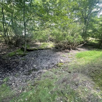 NEPA Junk Removal - After yard debris clean out - Junk Removal & Hauling Near Me NEPA Junk Removal - After yard debris clean out - Junk Removal & Hauling Near Me