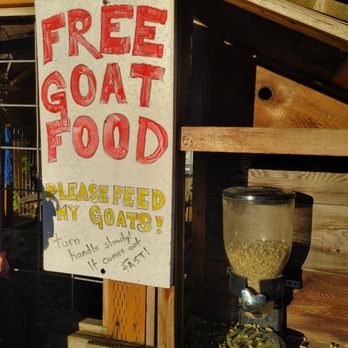 The Goat Place - Attraction Farms Near Me - Portland, Oregon
