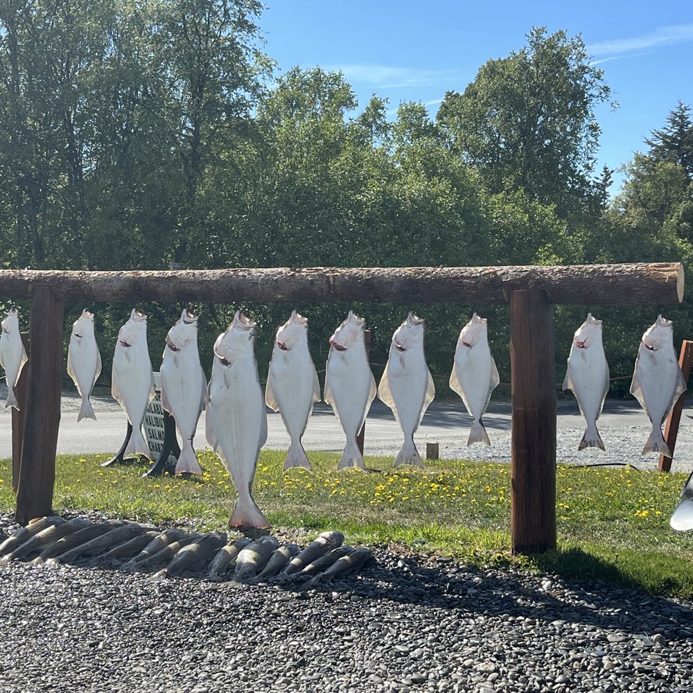Salmon Catcher Lodge - Fishing Near Me - Kenai, Alaska Salmon Catcher Lodge - Fishing Near Me - Kenai, Alaska