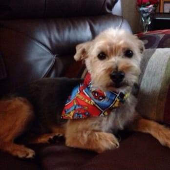 EmBark Pet Spa - Pet Groomers Near Me - Milwaukee, Wisconsin EmBark Pet Spa - Pet Groomers Near Me - Milwaukee, Wisconsin