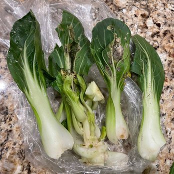Super Pinoy Store - Baby Bok Choy with rotted & bug infestation inside. - Bakeries Near Me - San Antonio, Texas