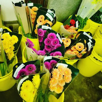 Sieck Claymore C Flrst - Florists Near Me - Baltimore, Maryland