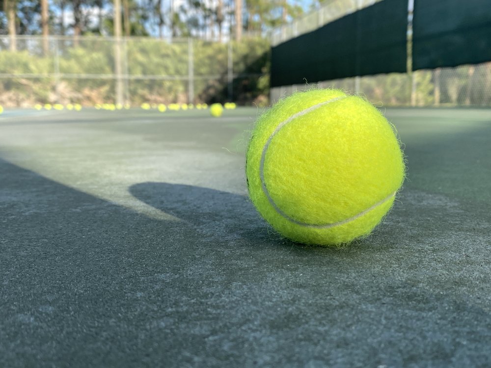 Linda Meyers Tennis Academy Logo
