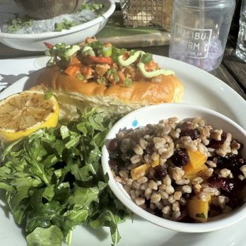 Malibu Farm Pier Cafe - Lobster roll and ceviche with local fish in background! Served in a coconut!! - Cafes Near Me - Malibu, California Malibu Farm Pier Cafe - Lobster roll and ceviche with local fish in background! Served in a coconut!! - Cafes Near Me - Malibu, California