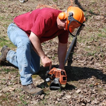 Limbhanger Tree Service - Tree Services Near Me - Oswego, New York Limbhanger Tree Service - Tree Services Near Me - Oswego, New York