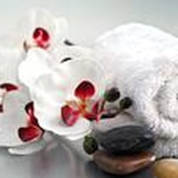 The Studio Salon & Day Spa