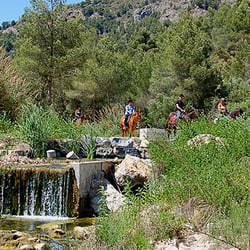 Reiterhof Rancho La Ofra - Reiten an der Costa Blanca