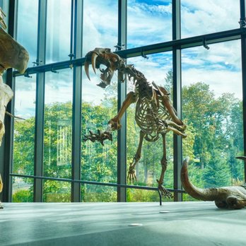 Burke Museum - Museums Near Me - Seattle, Washington