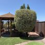 Photo of CBA Landscaping