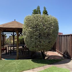 CBA Landscaping