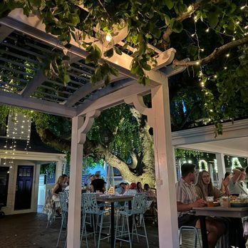 Anejo Mexican Bistro - Greenery all around! - Mexican Near Me - Hyannis, Massachusetts