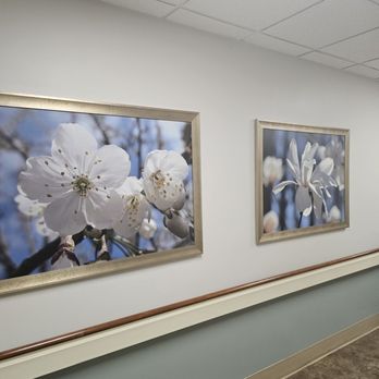 Wellstar Kennestone Emergency Department - Emergency Rooms Near Me - Marietta, Georgia